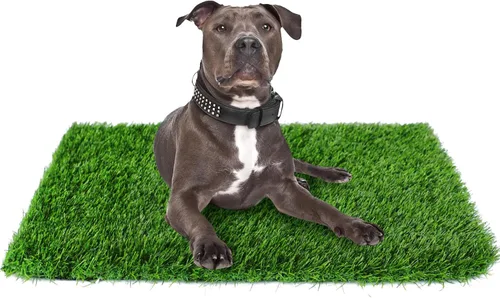 Vista 9 de GLOBREEN Almohadilla de Césped Falso para Perros Potty, 19" x 29" Almohadillas de Césped Artificial para Mascotas Cachorros, Gruesas y de Alto