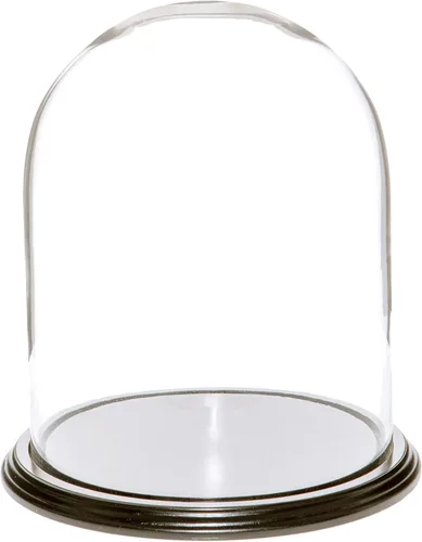 Vista 8 de Plymor Cúpula de cristal de 8" x 10.25" (base de chapa de nogal)