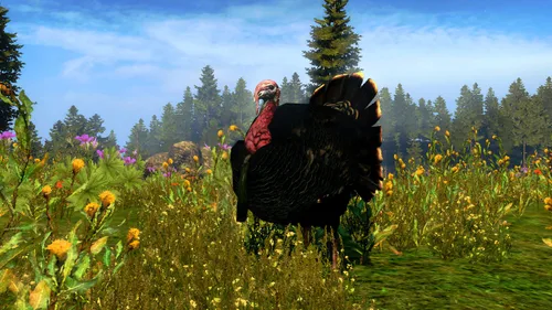 Vista 5 de Cabela's Outdoor Adventure '10 - Playstation 3