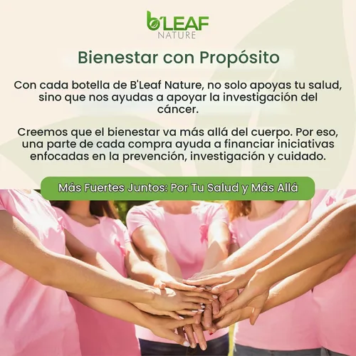 Vista 9 de B'LEAF NATURE Fitosoma de quercetina, 120 cápsulas – 1000 mg de quercetina de alta absorción con vitamina C y zinc – Suplemento de quercetina