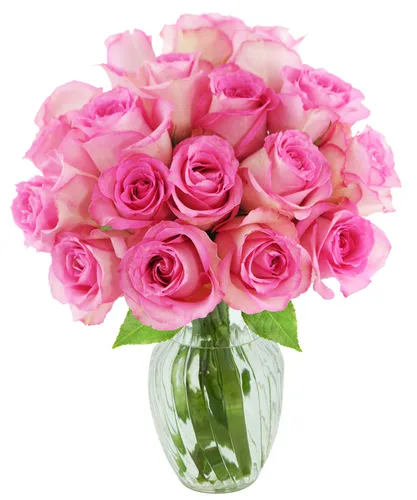 Vista 31 de KaBloom - Rosas arcoíris (media docena)- Flores frescas para cumpleaños, San Valentín y Día de la Madre