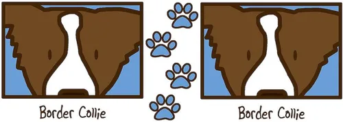 Vista 3 de CafePress Anime Brown Border Collie Mug 11 oz (325 ml) Ceramic Coffee Mug