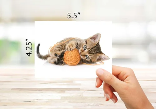 Vista 3 de Tarjetas divertidas de gatito, paquete de 12 tarjetas divertidas de notas de gato con sobres, 4 divertidos diseños de fotos, interior en blanco