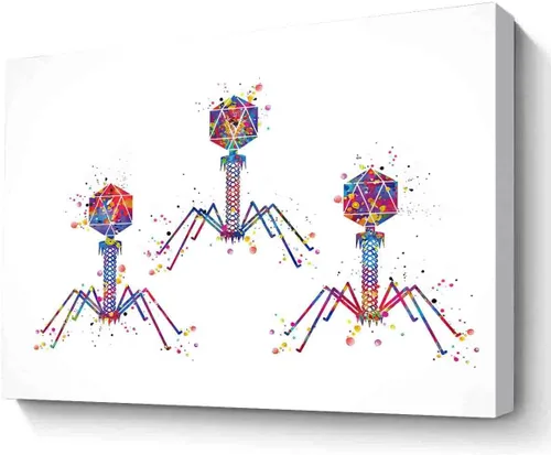 Vista 7 de Impresión artística de acuarela, elefante bebé y mariposas, estampado de acuarela de elefante bebé con mariposa, regalo de cumpleaños, decoración