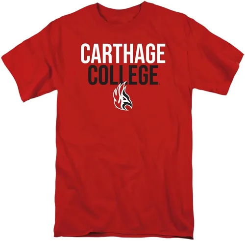 Vista 131 de Collegiate Stacked Adult T Shirt Collection 3