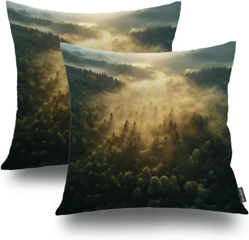 Vista 38 de Shrahala Abstract Art Modern Aesthetic Decorative Pillow Covers, Fluid Forms Minimalist Throw Pillow Cover Blended Hidden Zipper Cushion Cases for