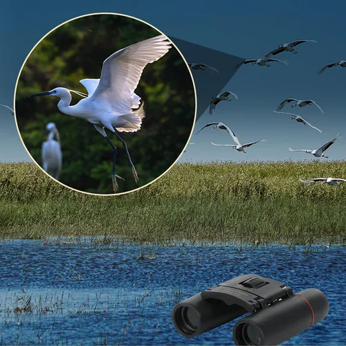 Vista 8 de Prismáticos para adultos de 8 x 21 pulgadas, mini binocular compacto de bolsillo pequeño para observación de aves, conciertos, teatro, ópera