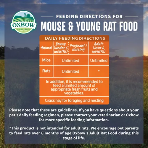 Vista 4 de Oxbow Essentials Mouse & Young Rat Food, pellets completos para roedores