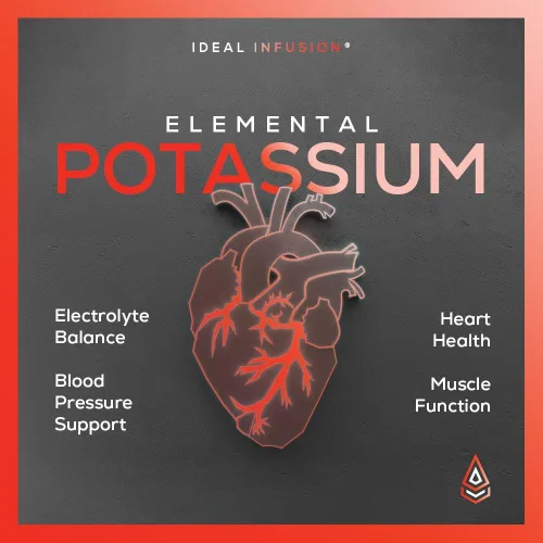 Vista 3 de Malato de Potasio 1389mg - Producción de ATP y energía celular, equilibrio electrolítico - Potasio elemental 500mg (240 cápsulas) vegano