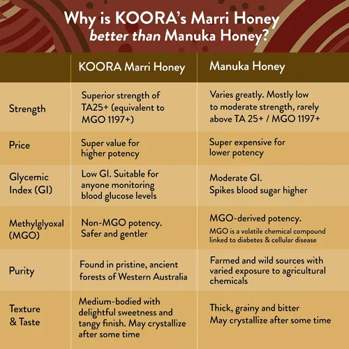 Vista 6 de KOORA Miel de Marri TA 25+ (MGO 1197+ Miel Manuka de Calidad Equivalente) Miel Cruda Medicinal de Bajo Índice Glucémico para la Salud Diaria y Apoyo