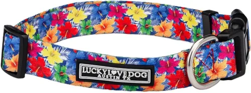 Vista 31 de Lucky Love Dog - Collar para perras pequeñas, diseño Blackbird de estampado alegre con flores de primavera y verano, talla XS Collar Blackbird