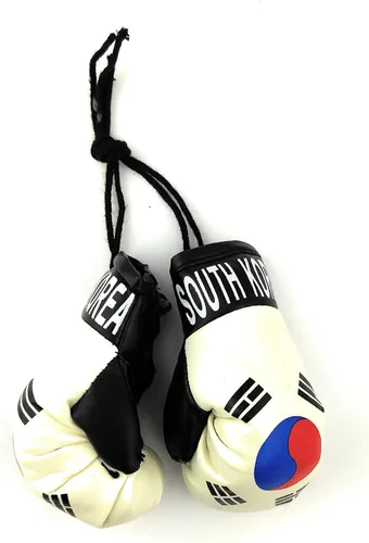 Vista 11 de Mini guantes de boxeo para colgar en el espejo del coche (Camerún)