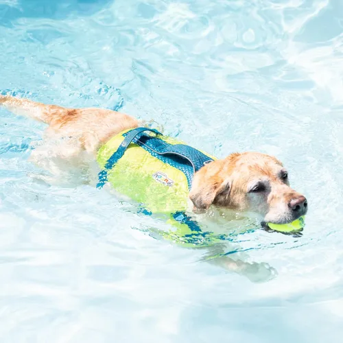 Vista 7 de Outward Hound Standley - Chaleco salvavidas deportivo para perros, de alto rendimiento, tejido antidesgarros Ripstop, para natación, navegación