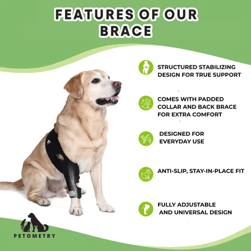 Vista 2 de Rodillera universal para perro con paquete de terapia de frío/calor, ajustable, transpirable, collar extra cómodo con soporte estabilizador