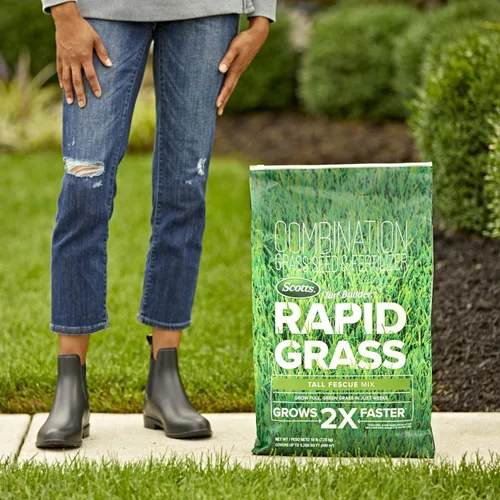 Vista 3 de Scotts Turf Builder Rapid Grass - Mezcla de festuca alta, 16 libras.