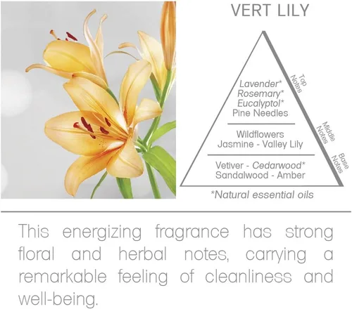 Vista 6 de Acqua Aroma Aceite refrescante Vert Lily 0.7 onzas líquidas (0.7 fl oz)