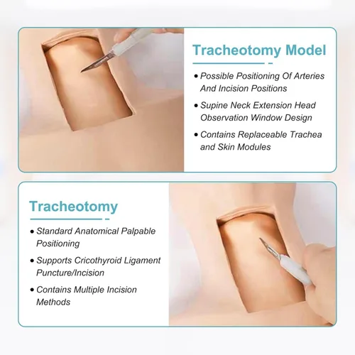 Vista 3 de Entrenador avanzado de traqueotomía simulador de traqueotomía de PVC para entrenamiento de cuidado de cricotirotomía y traqueotomía - Maniquí