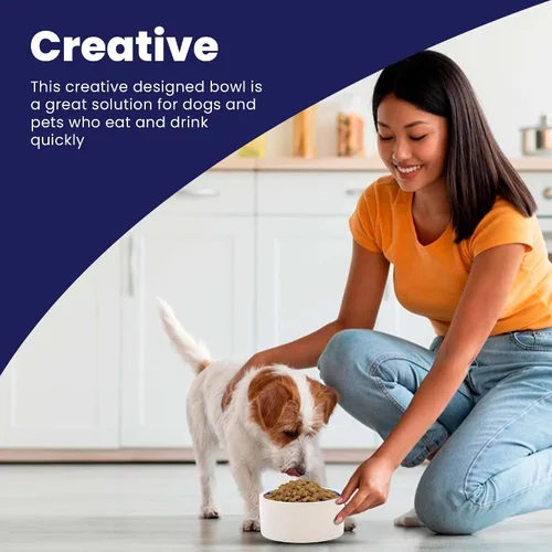 Vista 6 de SPOT Gres Cerámico - Cuenco para Mascotas para Gatos, Gatitos y Mini Perros, Cuenco de Cerámica Clásico Resistente Antideslizante para Alimentos