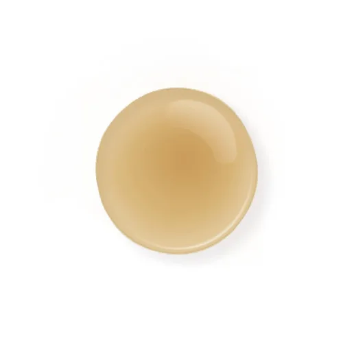Vista 4 de Prija Champú fortificante limpia y revitaliza el cabello con Eruca Sativa para todo tipo de cabello, champú hidratante aumenta el brillo y mejora