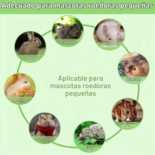 Vista 7 de Timothy Heno, 40 unidades de juguetes de conejo para aburrimiento, hechos a mano, conejillo de indias, masticables de chinchilla para dientes