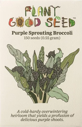 Vista 6 de Plant Good Seed Semillas de brócoli Marathon F1 para plantar: vegetales de alto rendimiento, cabezas verdes pesadas, paquete de 75 semillas