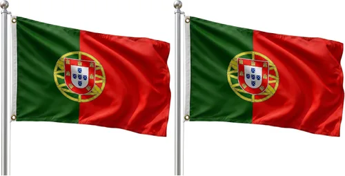 Vista 197 de DMSE - Bandera nacional beninesa beninesa de la República de África Occidental, 2 x 3 pies, 100 % poliéster, 100 % poliéster, resistente a los rayos