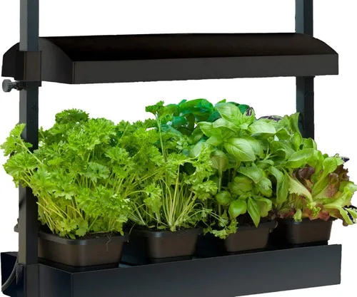 Vista 3 de SunBlaster T5HO - Micro Growlight Garden para interiores, kit de cultivo en casa, color blanco