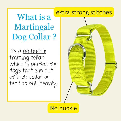 Vista 4 de Country Brook Petz - Collar Martingale para perro - Collar de entrenamiento resistente sin hebilla - Collar para perros de servicio para todos