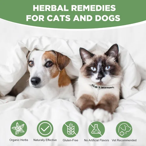 Vista 5 de Alivio de la alergia estacional para gatos y perros, para picazón, rascarse y lamer, fórmula herbaria natural, alivio de alergias para perros gatos