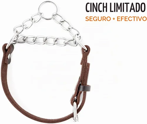 Vista 2 de Collar Martingala para Perros Mighty Paw - Diseño Anti-Tirón - Cadena de Acero Inoxidable - Entrenamiento Limitado con Correa de Cincha - Collar