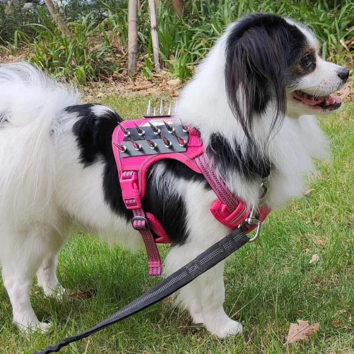 Vista 7 de Arnés táctico para perro, chaleco reflectante sin tirones, chaleco táctico para perro de trabajo, chaleco de servicio para perro, chaleco