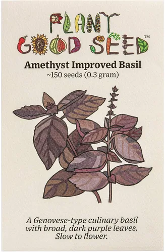 Vista 10 de Plant Good Seed Semillas de albahaca de hojas grandes italianas orgánicas para plantar: hierba culinaria, hojas verdes - Paquete de 200 semillas