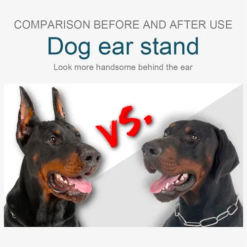 Vista 3 de Doberman Kit de publicación de orejas de perro, herramienta de soporte para orejas de perro, grifo de orejas de perro para Doberman Pinscher