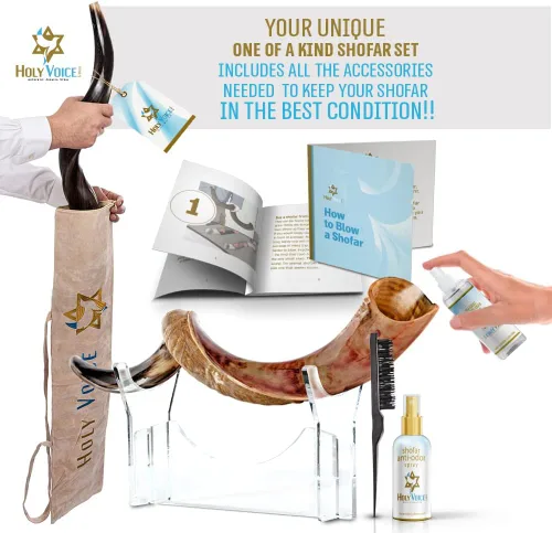 Vista 3 de Holy Voice Kosher Kudu Shofar Horn de Israel 24 a 28 pulgadas, juego tradicional de shofar yemenita medio pulido, incluye bolsa de transporte