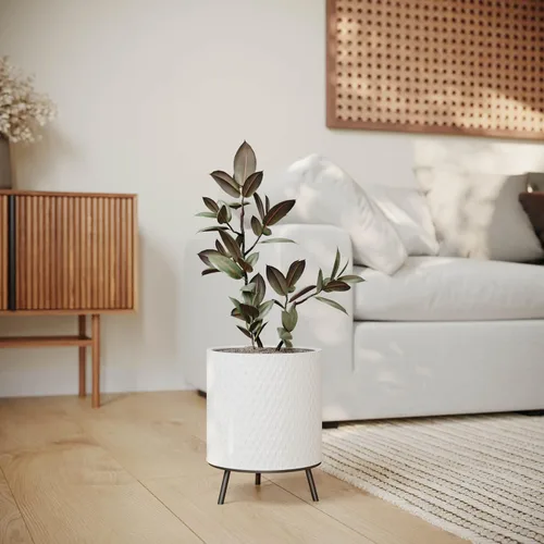 Vista 8 de EverNest Claire - Maceta blanca neutra de panal con soporte Nyra, macetas de interior, SelectBase, estilo bohemio moderno de mediados de siglo