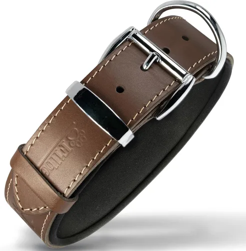 Vista 8 de Filbert Collar de cuero para perro, collar de cuero genuino para perros pequeños, estampado de patas en relieve con hebilla, grano completo curtido