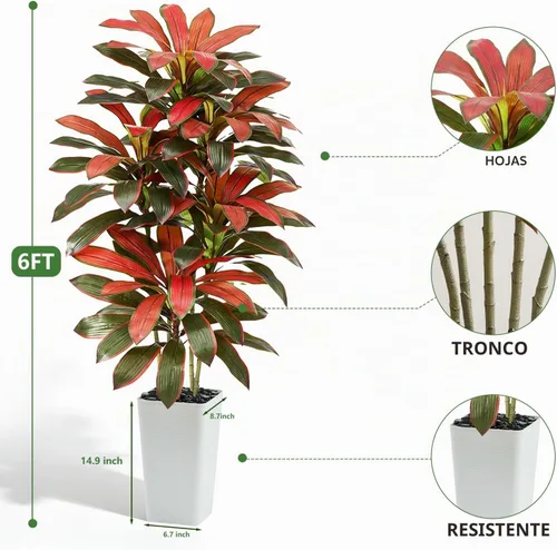 Vista 2 de Árbol de Dracaena artificial rojo de 6 pies, plantas falsas altas Hoja blanco-roja