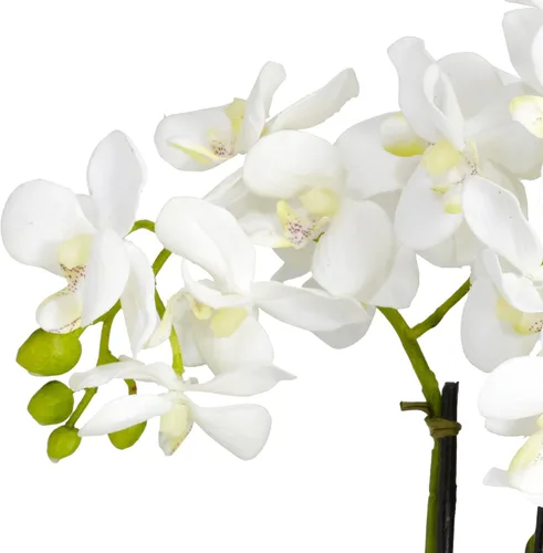 Vista 6 de Nearly Natural 4804 15in. Arreglo de flores de seda de phalaenopsis, blanco, 14.5 "x 11" x 4.5