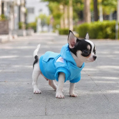 Vista 6 de LOPHIPETS Sudaderas con capucha de algodón para perros pequeños, chihuahua, ropa para cachorros, abrigo para clima frío, color azul Cambridge/XXS