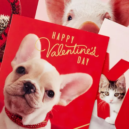 Vista 6 de Hallmark Tarjetas de San Valentín para la escuela, cachorro, gatito, cerdo, erizo (24 aulas de San Valentín con sobres)