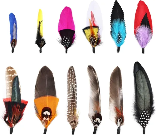 Vista 11 de 12 plumas para sombrero, plumas naturales surtidas para sombreros, coloridos pines de plumas reales para manualidades, sombreros de vaquero