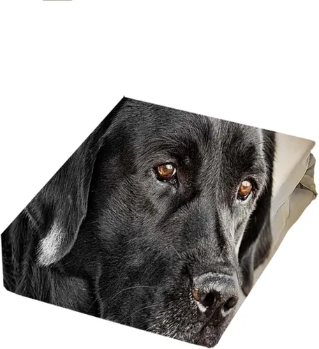 Vista 2 de Juego de ropa de cama de tamaño individual de labrador negro, juego de funda de edredón de microfibra suave para niños y niñas, juegos de funda