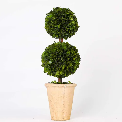 Vista 8 de Esfera decorativa de boj preservada, hojas de boj reales, plantas verdes, decoración del hogar para Navidad, Día de Acción de Gracias, regalos que