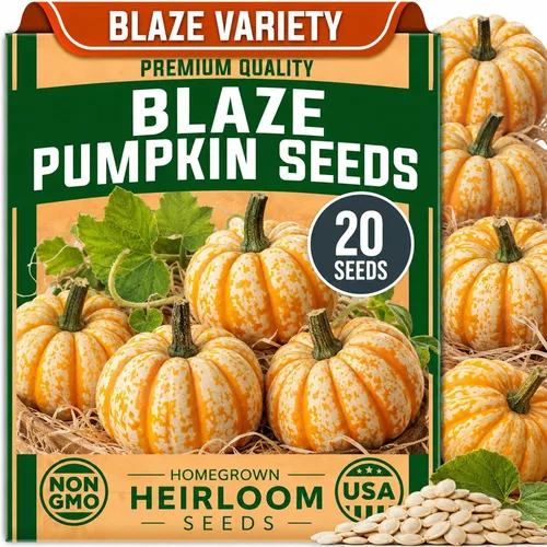 Vista 31 de CZ Grain Semillas para plantar, 40 pequeñas mezclas de calabaza