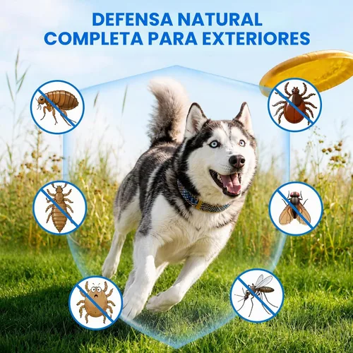 Vista 4 de Flea and Tick Soft Chews for Dogs, 120 Count