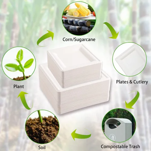 Vista 5 de SUT Platos de papel compostables de 6 pulgadas, 100 platos cuadrados biodegradables de bagazo, platos resistentes para microondas, platos