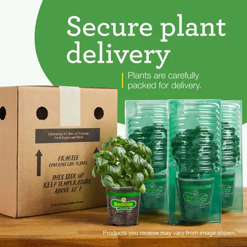 Vista 8 de Bonnie Plants Tomillo Inglés 19.3 oz. Paquete de 4