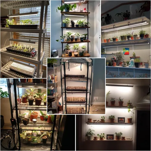 Vista 2 de GYTF T5 - Paquete de 2 luces LED de cultivo de plantas de espectro completo de 1.4 pies, 5000 K, tiras de lámpara de cultivo de plantas para plantas