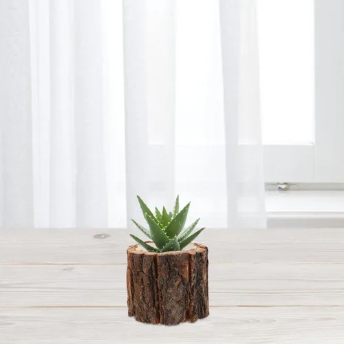 Vista 9 de Happyyami 4 macetas rústicas de madera, soporte para plantas pequeñas para decoración interior del hogar, material de corteza impermeable, 3.54 x