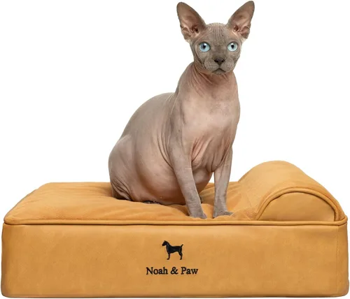 Vista 36 de NOAH & PAW Cama pequeña para perros, 20 x 15 x 6.5 pulgadas, cama para gatos de interior, espuma viscoelástica ortopédica de cáscara de huevo Verde